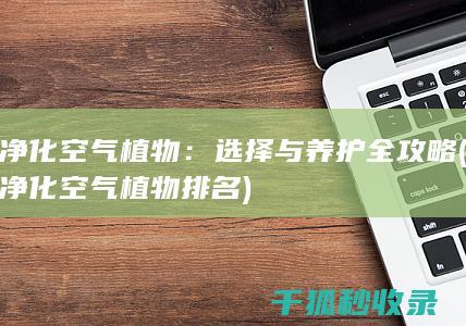 净化空气植物：选择与养护全攻略 (净化空气植物排名)