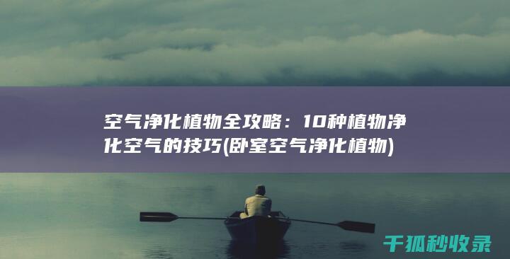 空气净化植物全攻略：10种植物净化空气的技巧 (卧室空气净化植物)