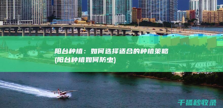 阳台种植：如何选择适合的种植策略 (阳台种植如何防虫)