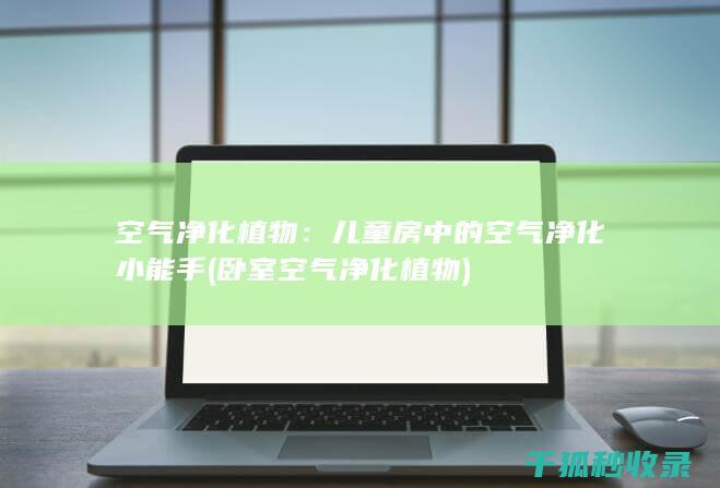 空气净化植物：儿童房中的空气净化小能手 (卧室空气净化植物)