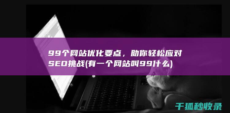 99个网站优化要点，助你轻松应对SEO挑战 (有一个网站叫99什么)