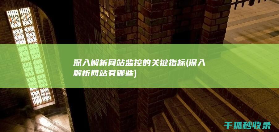 深入解析网站监控的关键指标 (深入解析网站有哪些)