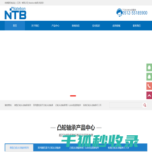 凸轮从动轴承