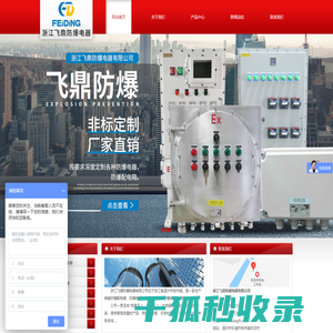 浙江飞鼎防爆电器有限公司